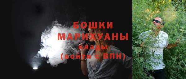 МДПВ Бронницы