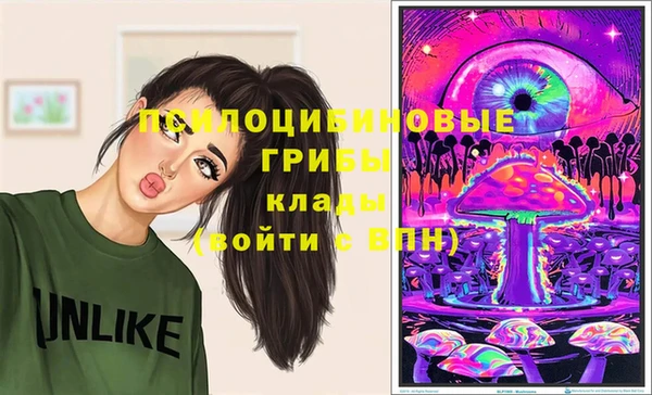 соль курить ск Богородицк