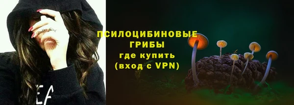соль курить ск Богородицк